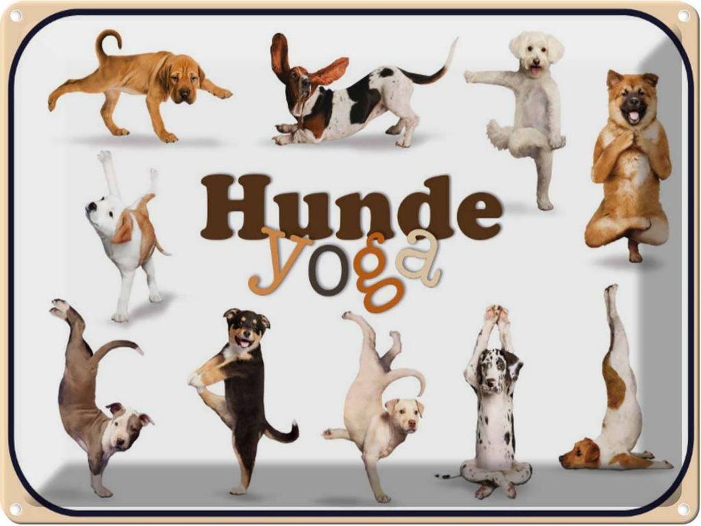 vianmo Blechschild 30x40 cm Katze Hunde Yoga