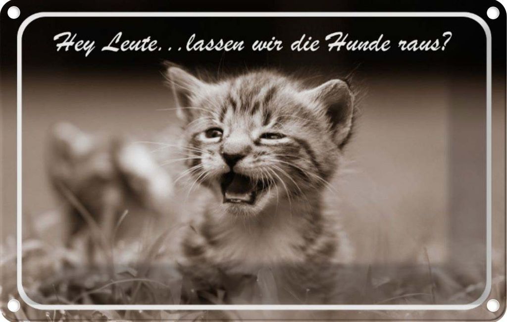vianmo Blechschild 20x30 cm Katze Hey lassen wir die Hunde raus? Tier Haustier
