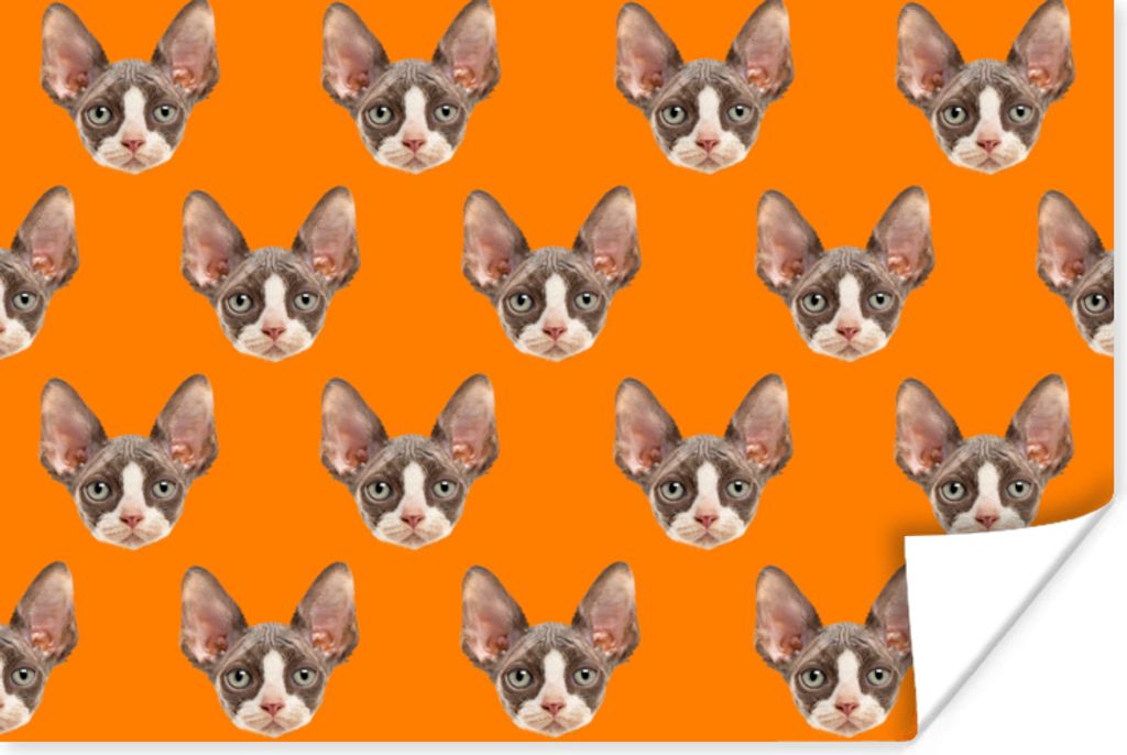 MuchoWow Poster Tier - Orange - Muster 90x60 cm - Schlafzimmer