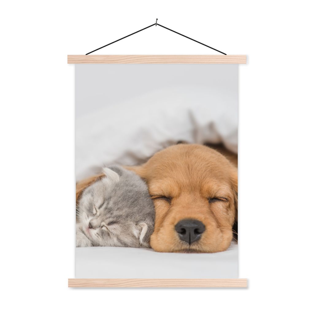 MuchoWow Textilposter Haustiere - Hund - Katze - Decke 120x160 cm mit holzfarbenen Rahmen - Plakatkarton
