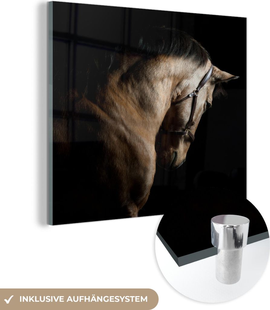 MuchoWow Glasbilder - Bilder auf Wandbild - Foto auf Glas Pferde - Halfter - Schwarz 90x90 cm Wanddekoration aus Glas - Acrylglasbild - Acrylbilder...