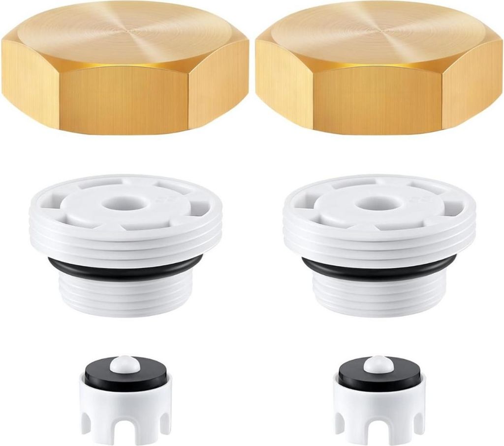 INF 2er-Pack Vakuum-Unterbrecher Reparaturset für Legend Valve LEG-108-903