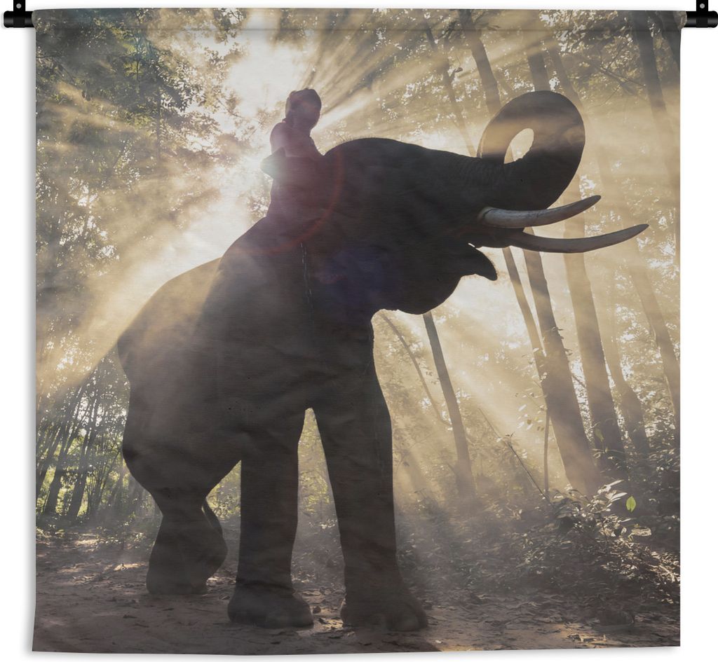 MuchoWow Wandteppich Wandbehang Elefant mit Person in hellem Sonnenlicht 60x60 cm Tapisserie Dekoration Wandtuch - Dekorationen - Wand Decke