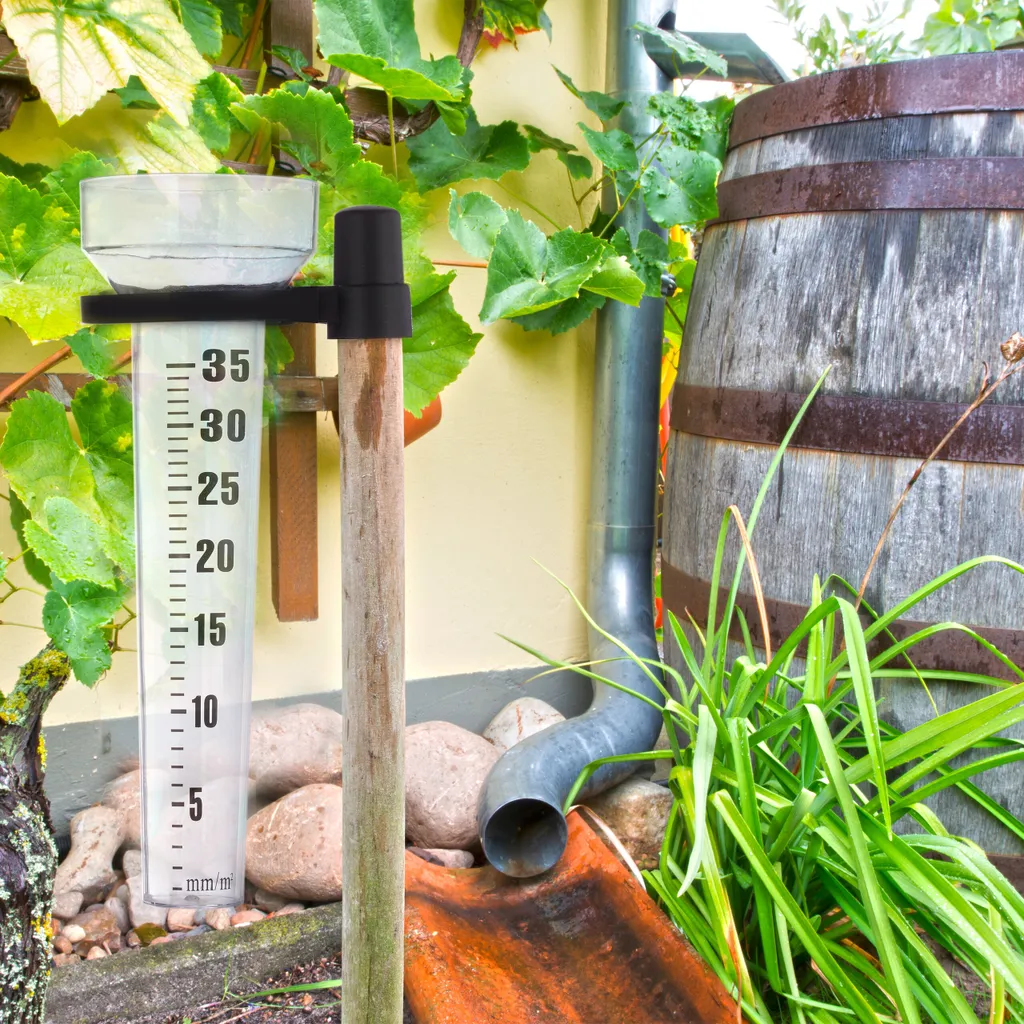 Pluviomètre de Jardin avec Support : Lot de 20 Collecteurs d'Eau - 2