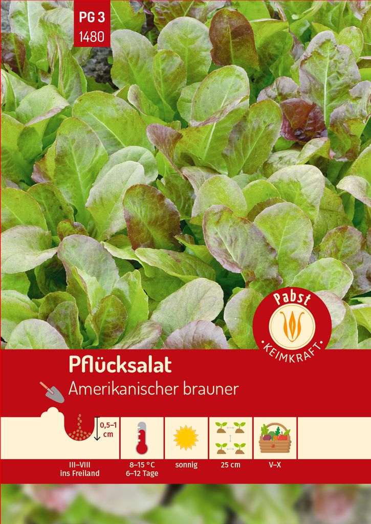 Pabst Keimkraft - Pflücksalat spätschossend & buntblättrig Amerikanischer Brauner Samen - 171480