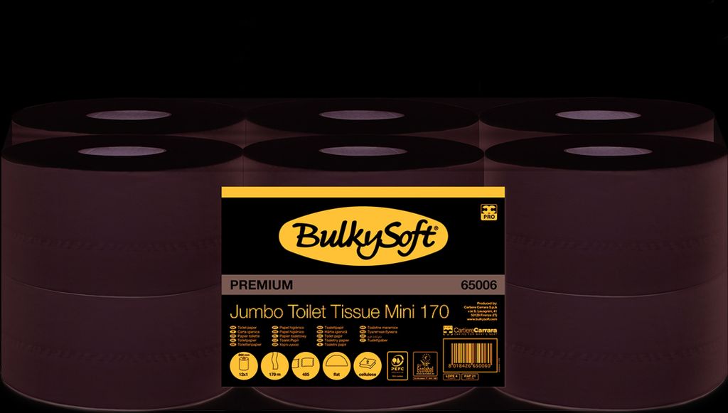 BulkySoft Großrollen mini - Zellstoff - 2-lagig - 24 Rollen Toilettenpapier