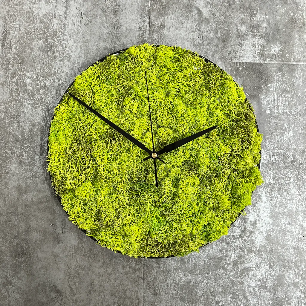 Horloge en Mousse Naturelle Stabilisée 30cm dixtime Vert Printemps 3D