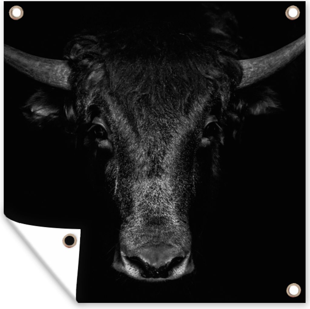 MuchoWow 100x100 cm Outdoor-Poster Gartendeko Sichtschutz Garten Poster für den Garten Taurus - Tiere - Schwarz - Weiß