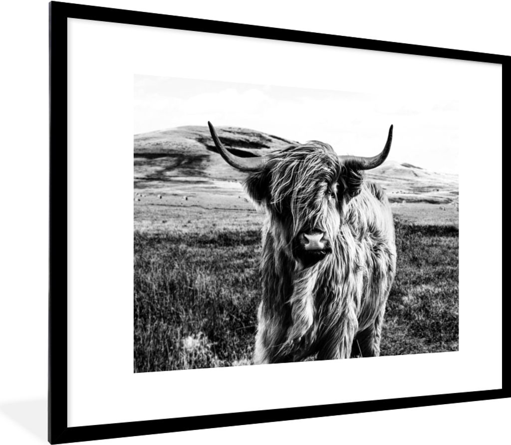 MuchoWow Gerahmtes Poster Schwarz - Weiß - Schottischer Highlander - Gras 80x60 cm - Poster mit Schwarzem Bilderrahmen Wandposter Rahmen Foto Bi...