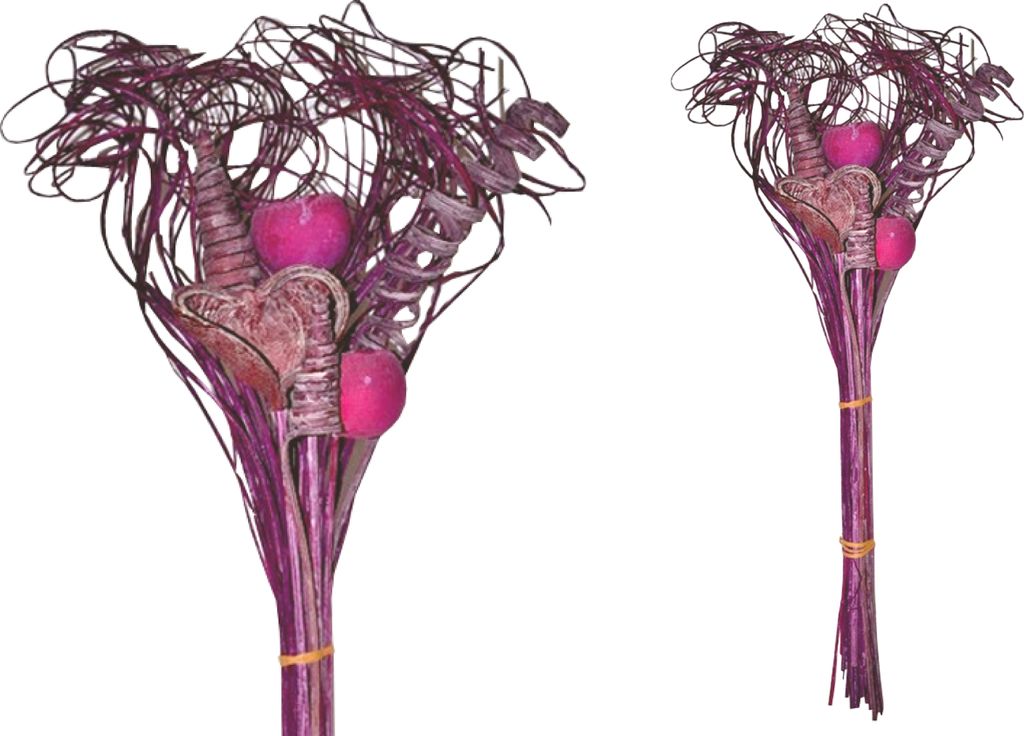 BOHO Trockenblumenstrauß gemischt Smart Curly Brombeer gefrosted 65cm