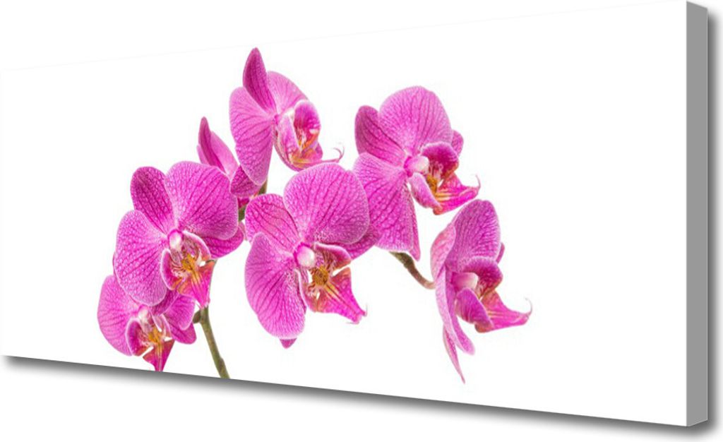 Tulup Leinwand-Bilder 125x50 Wandbild Canvas Kunstdruck Blumen Pflanzen