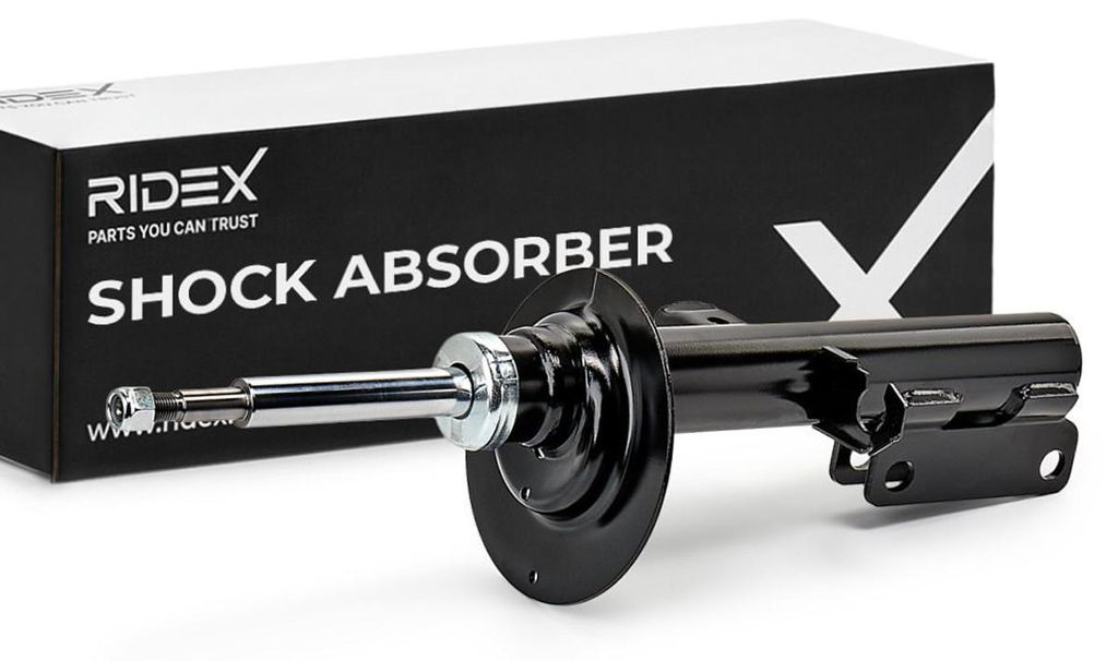 RIDEX Stoßdämpfer Vorne Links für BMW X5 (E53) Federbein 854S0289