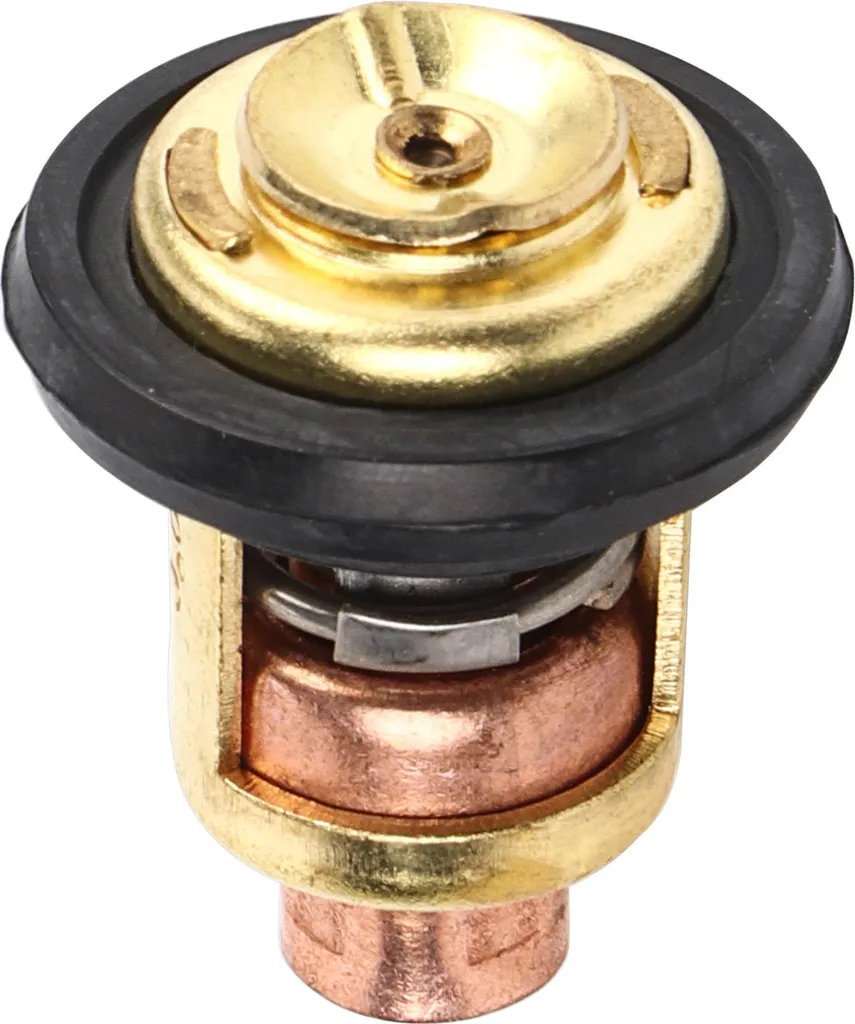 Termostato Fuoribordo 6G8-12411-01 per Yamaha 9.9-70hp 4 Tempi | Ricambio