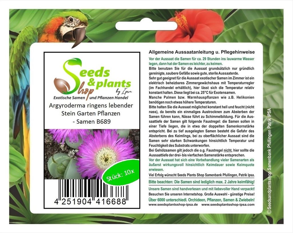 10x Argyroderma ringens lebender Stein Garten Pflanzen - Samen B689