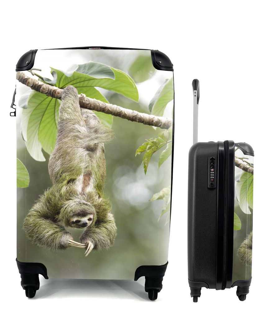 MuchoWow Koffer Handgepäck Trolley Rollkoffer Kleine Reisekoffer mit 4 Rollen - Ein Faultier hängt kopfüber in den Bäumen - Cabin Size < 55x4...