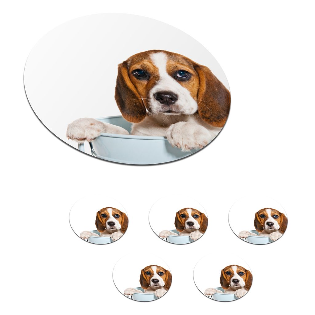 KitchenYeah Glasuntersetzer Rund 6er Set Welpe - Beagle - Eimer 10x10 cm Untersetzer für Gläser - Getränkeuntersetzer - Tischplattenschutz - T...