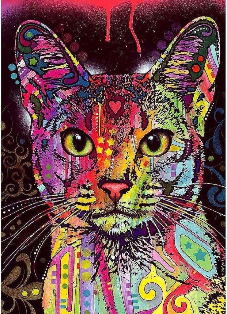 Heye Abyssinian, 2000 Stück(e), Kunst Produktbild 