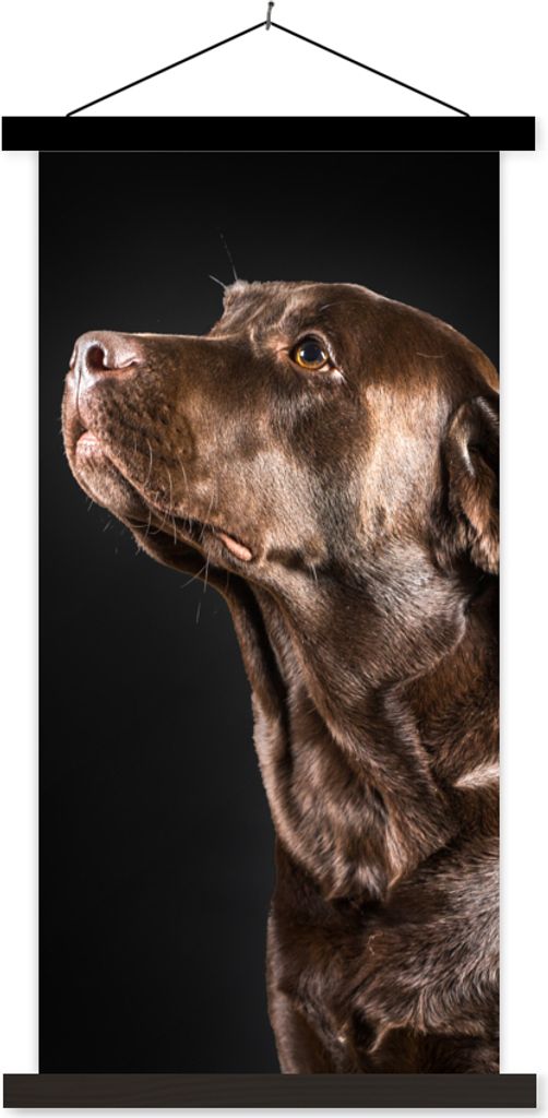 MuchoWow Textilposter Hund - Braun - Porträt 90x180 cm mit schwarzem Rahmen - Dekoration Wohnzimmer