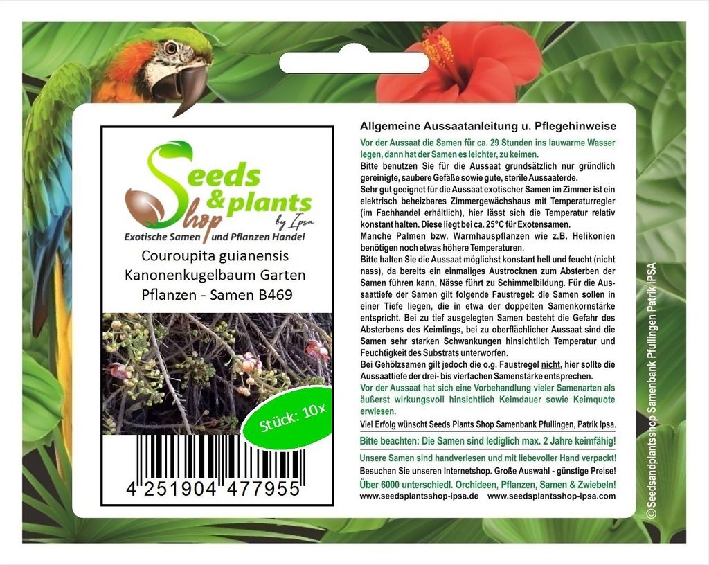 10x Couroupita guianensis Kanonenkugelbaum Garten Pflanzen - Samen B469
