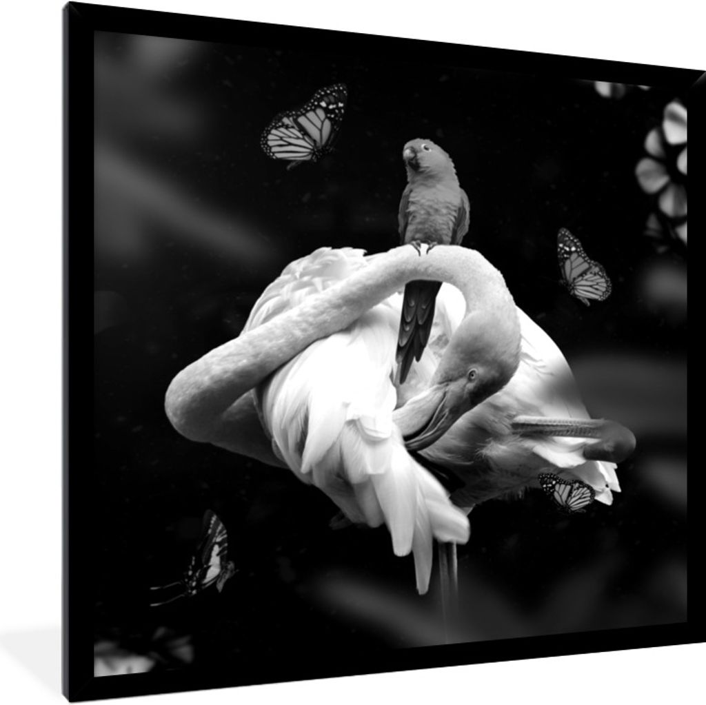MuchoWow® Gerahmtes Poster Flamingo - Tiere - Natur - Produktbild 