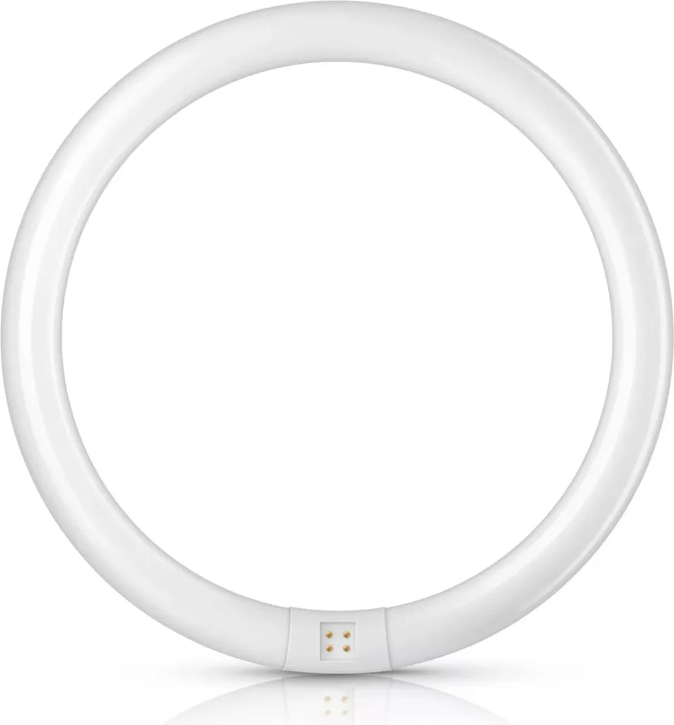 Tube Philips 32W Éclairage Circulaire Performant Lumière du Jour