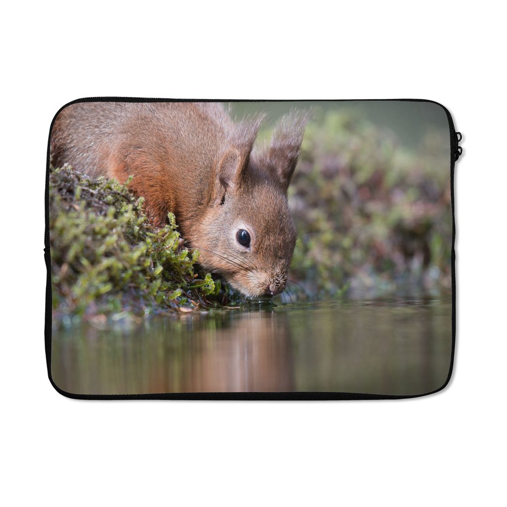 MuchoWow Laptop Hülle 14 ZollEichhörnchen - Tier - Wasser Laptoptasche - Laptoptasche - Stoßsicher - Schutzhaube