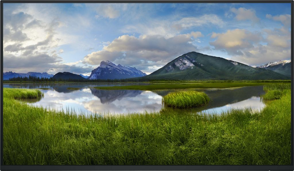 DELL P Series P2425H_WOST Monitor PC 61 cm (24") 1920 x Immagine del prodotto 
