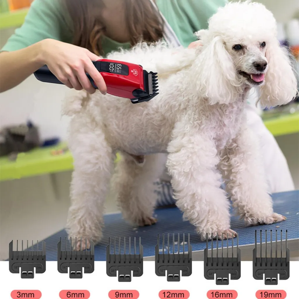 Tondeuse Animaux LED Silencieuse 3 Vitesses Haute Performance INF