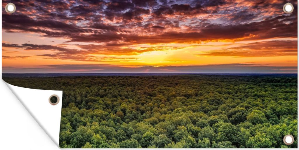 MuchoWow 160x80 cm Outdoor-Poster Gartendeko Sichtschutz Garten Poster für den Garten Wald - Nacht - Himmel - Horizont - Bäume