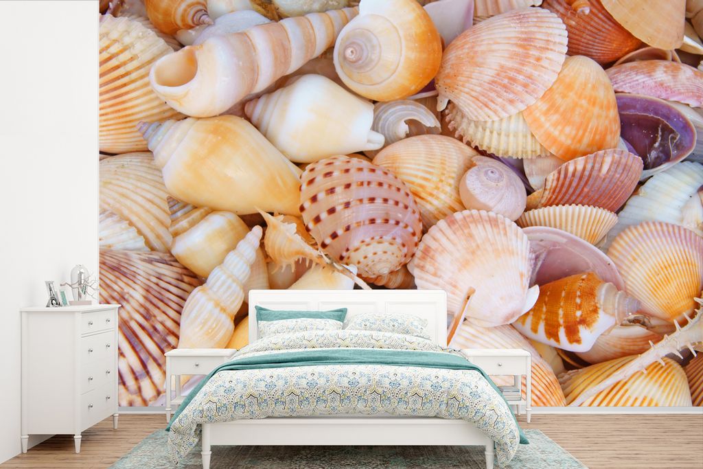 MuchoWow Fototapete für Wohnzimmer oder Schlafzimmer Wandtapete Vinyl Motivtapete Muscheln - Strand - Sommer - Orange - 360x240 cm - Vinyl-Tapete