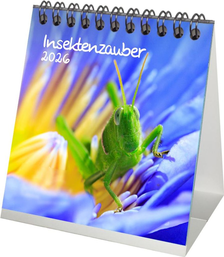 Insektenzauber Tischkalender 10cm x 10cm für 2026 - Geschenkset Inhalt: 1x Kalender 1x Weihnachtsanhänger 1x Grußanhänger (gesamt 3 Teile)