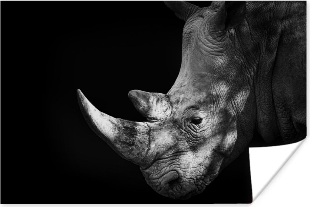 MuchoWow Poster Rhinozeros auf schwarzem Hintergrund 120x80 cm - Bilder