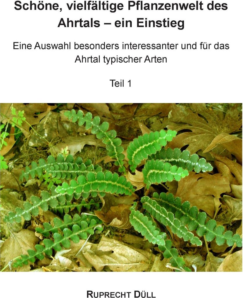 Schöne, vielfältige Pflanzenwelt des Ahrtals - ein Einstieg