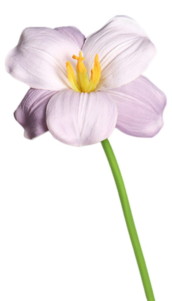 Künstlicher Tulpenstrauß mit realistischer Haptik, PolyurethanBlütenblättern, die mit der Zeit verblassen, biegsamen Stielen und pflegeleichten...
