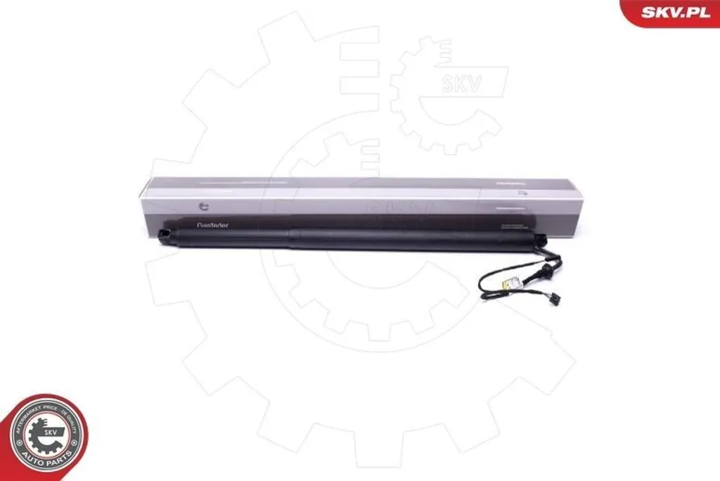 Moteur Hayon Électrique 660 mm ESEN SKV 52SKV946 de 1.49 kg Arrière Droit