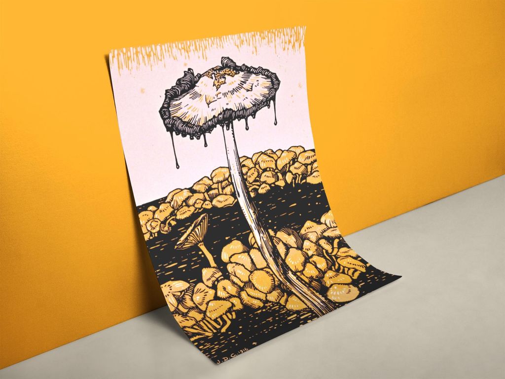 Tropfende Pilze Poster | Größe in cm: 60 x 80