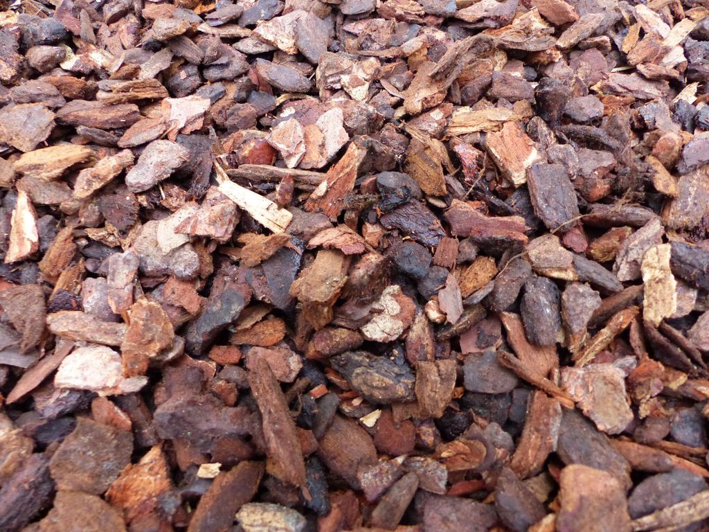 70 Liter Premium Pinienrinde Mulch Rindenmulch Dekorrinde Produktbild 
