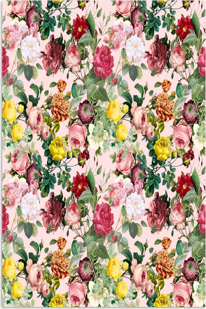 MuchoWow® Poster Blumen - Rosen - Rosa 60x90 cm - Produktbild 