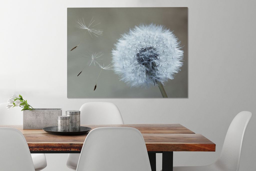 MuchoWow - Leinwandbilder - Löwenzahn - Blume - Pflanze, Wandbild, Wanddeko Bilder Wohnzimmer, 80x60 cm