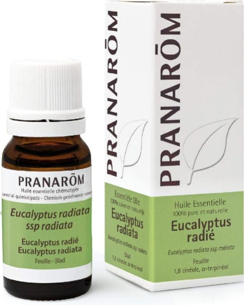 PranarÔm ESSENTIAL OIL #eucalyptus radiata 10 ml