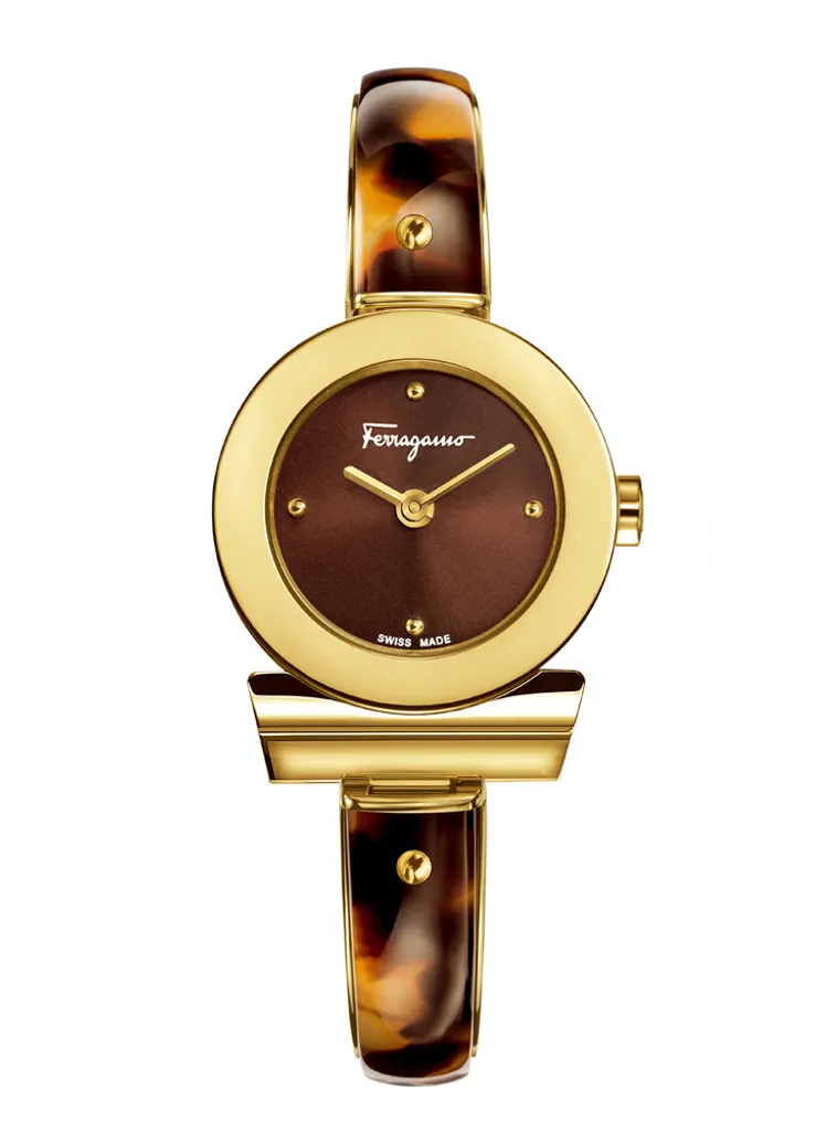 Montre Femme Salvatore Ferragamo FII02 0015 avec Verre Saphir Inrayable