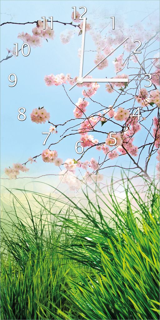 Wallario Design Wanduhr Kirschblütenzweige und grüne Wiese- Frühling aus Echtglas, Größe 30 x 60 cm