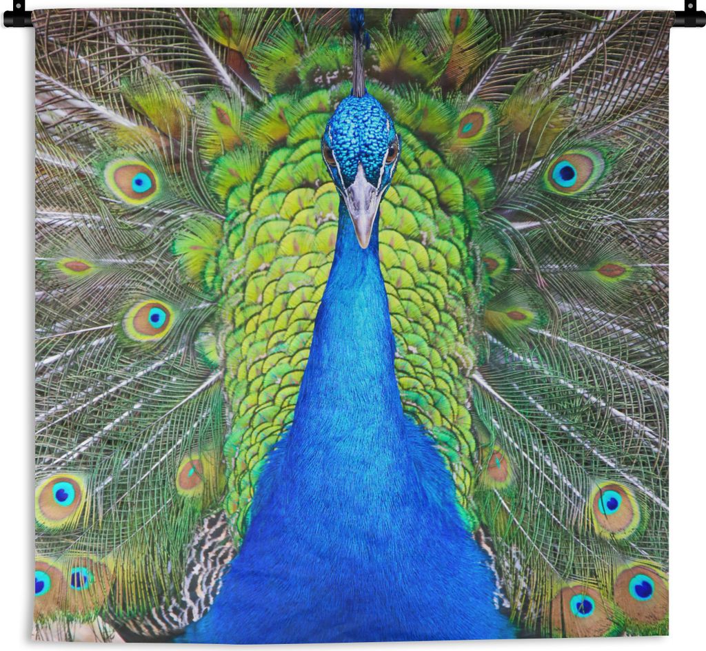 MuchoWow Wandteppich Wandbehang Pfau - Blau - Grün 150x150 cm Tapisserie Dekoration Wandtuch - Wohnaccessoires - Modernes