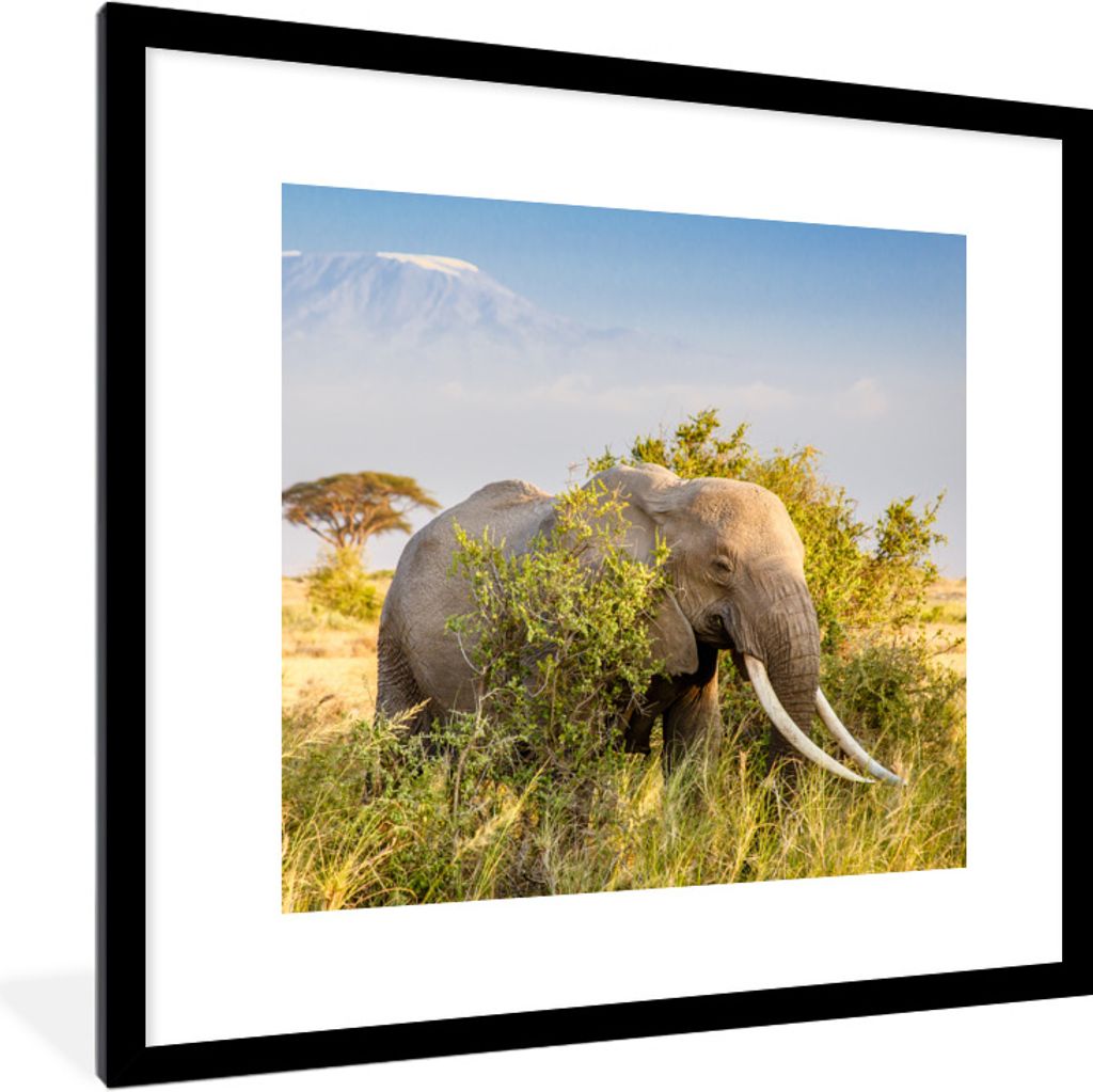 MuchoWow Gerahmtes Poster Elefant versteckt sich hinter Büschen 40x40 cm - Poster mit Schwarzem Bilderrahmen Wandposter Rahmen Foto Bilder - Pos...