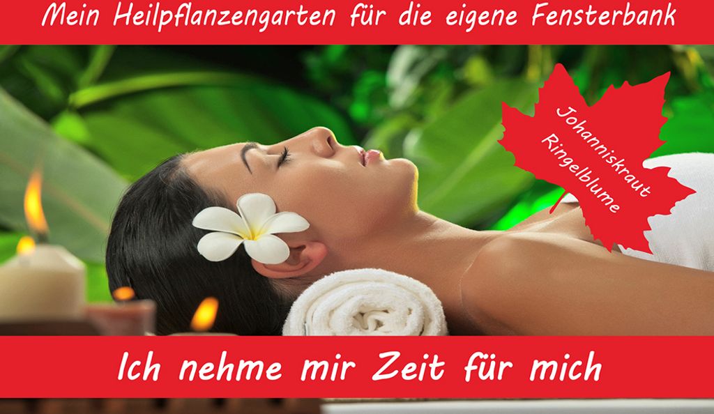Anzuchtset Ich nehme mir Zeit für mich | Anzuchtsets von Saflax