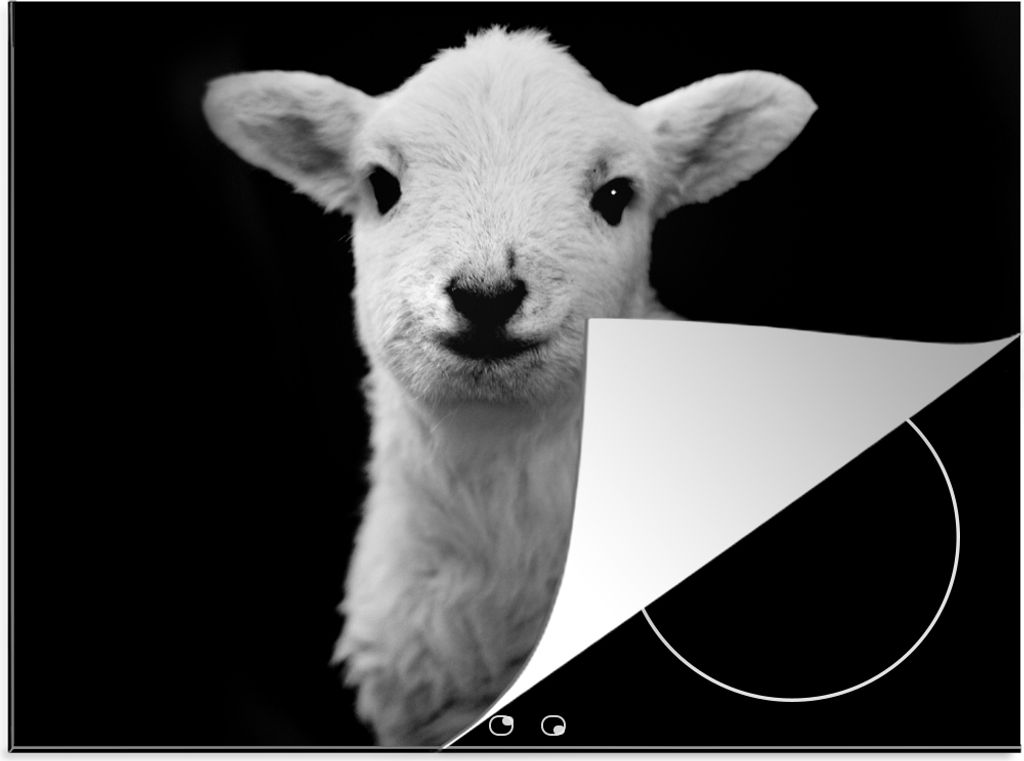 KitchenYeah Herdabdeckplatte Lamm - Schatten - Schaf , 70x52cm, Küche Deko, Glaskeramikfeld Herdabdeckung, Abdeckplatte fùr Kochfeld