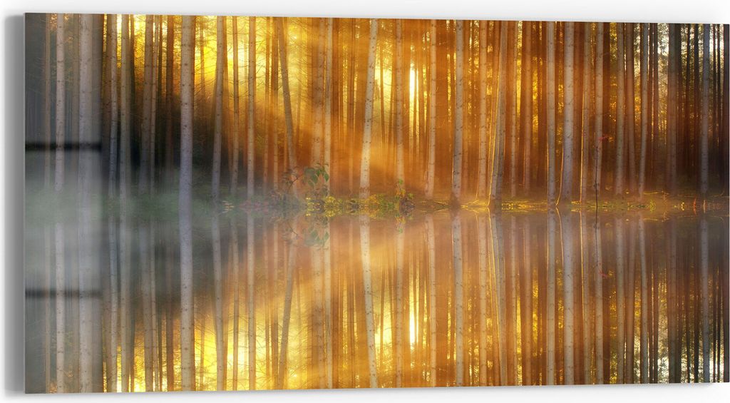 DEQORI Glasbild Echtglas 60x30 cm 'Waldspiegelung am See' Wandbild Bild modern Deko