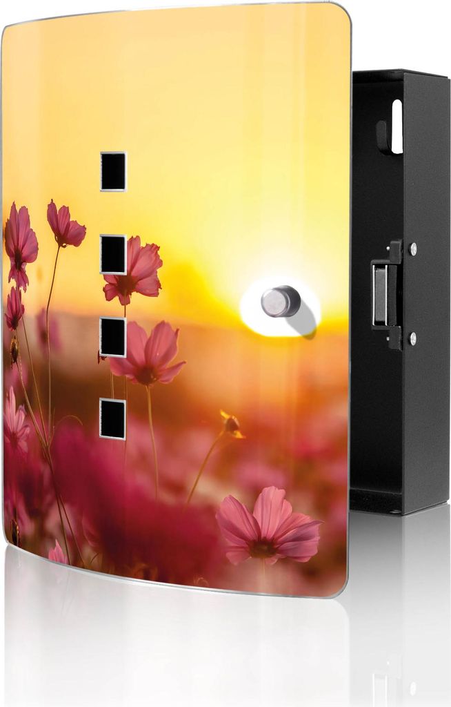 banjado Design Schlüsselkasten aus Edelstahl für 10 Schlüssel, Schlüsselschrank 24 x 21,5 x 7cm groß mit Magnetverschluss, Cosmea Feld [BWSK 1...