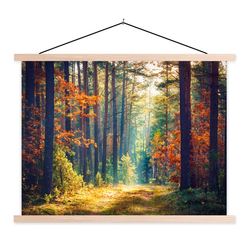 MuchoWow Textilposter Wald - Sonne - Natur - Herbst 60x45 cm mit holzfarbenen Rahmen - Bild
