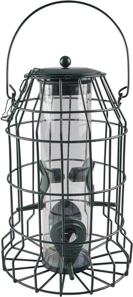 Mangeoire pour oiseaux de jardin : Observez la nature depuis chez vous
